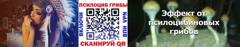 Псилоцибиновые грибы Psilocybine cubensis  Вуктыл 